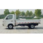 FOTON 4x2 Gasoline Mini Truck