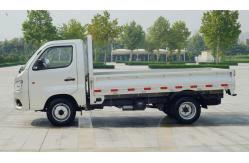 China FOTON 4x2 Gasoline Mini Truck supplier
