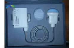 China Convex Array Abdominal Ultrasound Transducer Probe Siemens C5F1 supplier