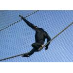Flexible 7 X 7 Structure Stainless Steel Wire Rope Mesh For Zoo Aviary Netting for sale