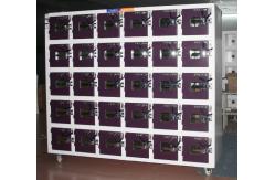 China Multilayer Lithium Battery Test Chamber 300x300x200mm supplier