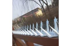 China Single Razor Anti Burglar Fence Spikes supplier