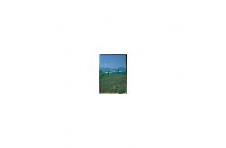 China A040FL01 V5 480×272 LCD Screen Panel ATR MVA AUO LCD Display supplier