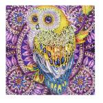 Owl 5D DIY Diamond Art Kits Full Drill Diamond Painting Set For Relaxation Gem Arts for sale