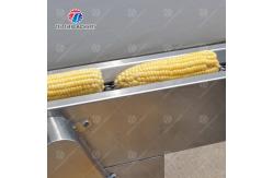 China Multifunctional Corn Thresher Machine 500kg/H Size Adjustment supplier