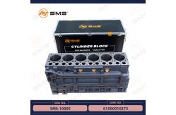 China 61500010373 Sinotruk Howo Engine Parts Cylinder Block SMS-10005 supplier