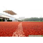 13mm Thickness Jogging Track Material Non Toxic Playground Sport Field Green Red