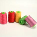 203 Sewing Machine Thread Edging Thread Garment Polyester Lockstitch