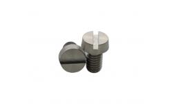 China M1-M10 Polished Titanium Slotted Cheese Head Machine Screws for Hardware Applications supplier