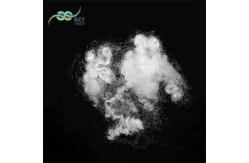 China Non-Siliconized Conjugated Hollow Polyester Fibre Coiled Coil 15D White supplier