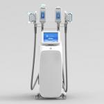 Beauty Salon Mini Cryolipolysis Fat Freezing Machine for sale