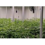 Custom Aeroponics Hydroponics System / Substrate System Intelligent Planting