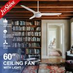 Smart App Control Ceiling Fan With Light And Remote Control For Bedroom 60 Inches for sale