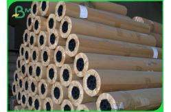 China Chemical Pulp Plotter Pattern Paper Use For Apparel Industry 36 60 supplier