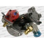Diesel Oil Pump Replacement , Car Truck Auto Diesel Engine M11 Oil Pump 3090942 for sale
