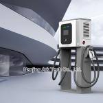 CCS CHAdeMO IEC 61851 150-750V 30KW DC Fast EV Charger for sale