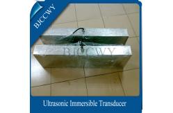 China High Power Ultrasonic Immersible Transducers 40khz Ultrasonic Transducer supplier