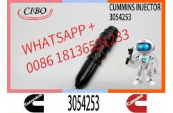 China Excavator 3054218 3054253 3032392 4914308 4914325 Engine Common Rail Fuel Injector supplier