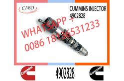 China QSK23 Diesel Engine Common Rail Injector 4902828 4088428 4326780 4326781 4928346 supplier