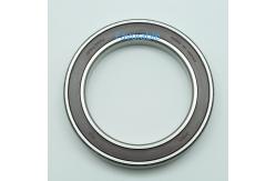 China Vector 7000 NSK Radial Bearing supplier