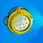 Gas Station Offshore Oil Industry Light IP65 Explosion Proof Led 60w for sale
