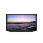 AUO H361VL01 V0 25 Pins FPC LCD Screen Display Panel RGB 480×800 WVGA 258PPI MDDI for sale