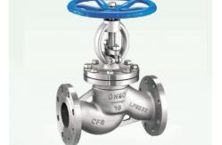 China API DN15-DN400 Manual Globe Valve Cast Steel Flanged Straight supplier