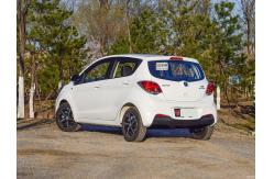 China High Speed 301km New Energy Vehicle Benben E Star Hatchback EV supplier