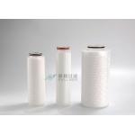 Particulate Removal PES Micro Pleated Filters , Precision Pleated Water Filter 0.45um for sale