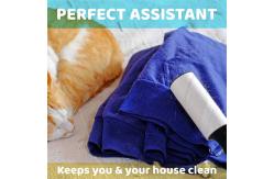 China Removable White Plastic Lint Clothes Hair Remover Roller For Cat Fur supplier