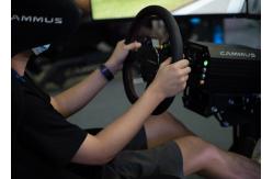 China Ergonomic 15Nm Servo Motor Sim Racing Simulator Cockpit supplier
