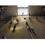 FRP Moulded Grating Customizable