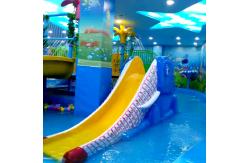 China Hotels' Favorite Customizable Water Spray Park with Multiple Exciting Features Octopus Slide supplier