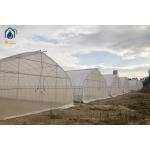 Commercial Tunnel Greenhouse Single Span Plastic Film Greenhouse For Vegetables for sale