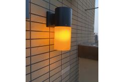 China Flame Decorative Solar Garden Lights Black Design Classic Style supplier