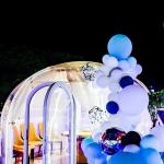 PC Polycarbonate 6m Geodesic Dome Transparent Tent For Hotel for sale
