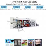 Used Automatic Plastic Vacuum Forming Machine For Pet Ps Container Chicken Egg Tray for sale