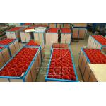 API Carbon Steel Casing Bow Spring Centralizer For Oil Drilling Tool for sale