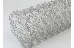 China Galvanized Iron Chicken Hexagonal Wire Mesh For Poultry Fencing / Garden Protection supplier