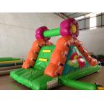 Small Size Inflatable Caterpillar Dry Slide With Digital Printing Eco - Friendly