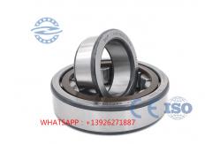 China  NJ206 Cylinder Roller Bearing / Double Row Cylindrical Roller Thrust Bearing supplier