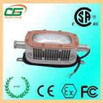 CREE 30 W Led Gas Station Light 6500K Cold White For Coal Mine for sale
