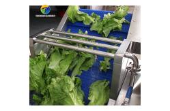 China Ozonation Hyperbaric Spraying Fruit And Vegetable Washing Machine SS supplier