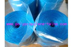 China UV Treated Polypropylene Tomato Tying Twine For Greenhouse Cucumber supplier
