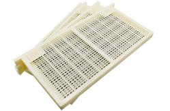 China No Graft Beekeeping Queen Rearing One Plastic Cassette Honey Bee Box Beekeeper Tool supplier