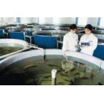Corrosion Resistance Fiberglass Fish Tank for sale