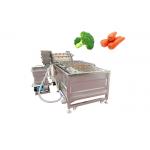 SUS304 Ozone Air Bubble Vegetable Sanitizer Machine for sale