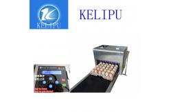 China Easy Operation Egg Inkjet Coding Printer / Thermal Inkjet Printer For Number supplier