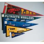 OEM Triangle Pennant Banner Eco Friendly Pennant Flag Banner With 3 Years Lifespan for sale
