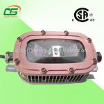 Stainless Steel 160° LED Explosion Proof Light 30w 3000lm , AC 85V - 265V for sale